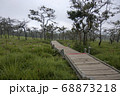 Walkway stone path in forest  by vegetation 68873218