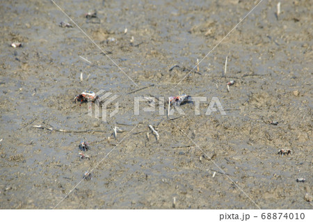 自然 風景 韓国 68874010