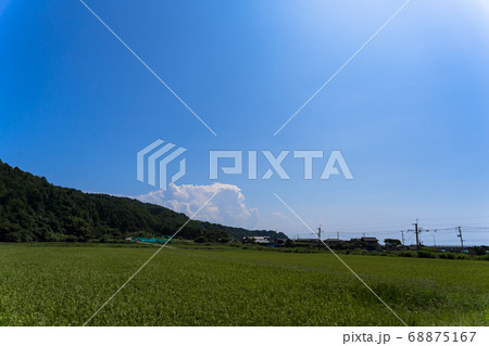 快晴の空と水田 新潟県村上市 快晴の空と水田 新潟県村上市 68875167