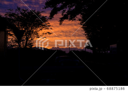 夕焼け　木立　シルエット 68875186