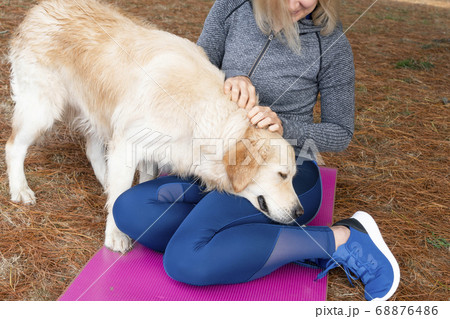 A golden retriever dog with eyes closed with pleasure caresses a blonde girl in sportswear. In a coniferous forest amid red fallen needles and a pink sports mat. To help people with disabilities A golden retriever dog with eyes closed with pleasure caresses a blonde girl in sportswear. In a coniferous forest amid red fallen needles and a pink sports mat. To help people with disabilities 68876486