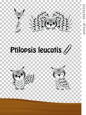 Owl stylish Konohazuku's illustration set (postcard) vector Owl stylish Konohazuku's illustration set (postcard) vector 68876502