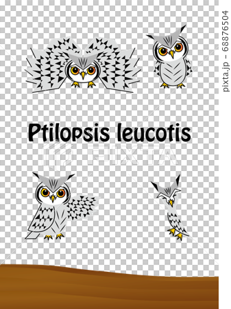 貓頭鷹時尚Konohazuku的插圖集（明信片）矢量 68876504