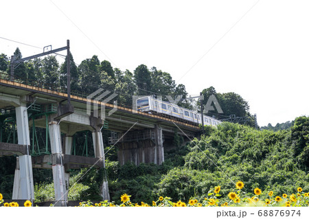 鉄道高架橋とひまわり畑　千葉県大網白里市　日本 68876974