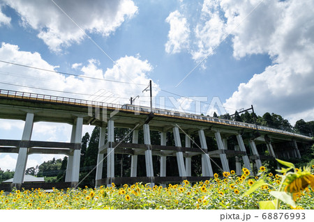 鉄道高架橋とひまわり畑 千葉県大網白里市 日本 鉄道高架橋とひまわり畑 千葉県大網白里市 日本 68876993