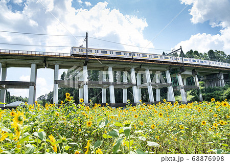 鉄道高架橋とひまわり畑　千葉県大網白里市　日本 68876998
