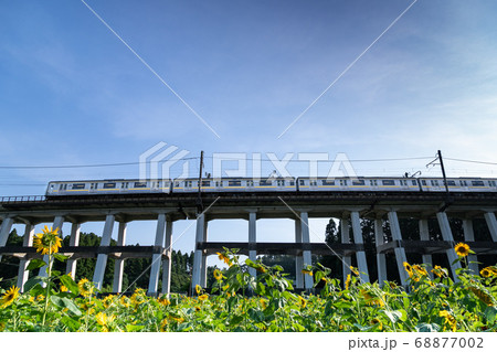 鉄道高架橋とひまわり畑　千葉県大網白里市　日本 68877002