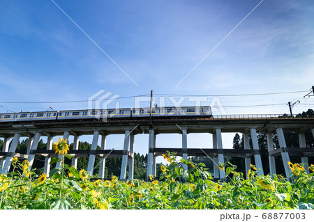 鉄道高架橋とひまわり畑　千葉県大網白里市　日本 68877003