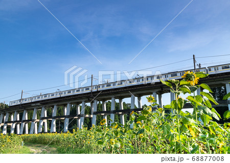 鉄道高架橋とひまわり畑　千葉県大網白里市　日本 68877008