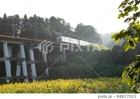 鉄道高架橋とひまわり畑　千葉県大網白里市　日本 68877023