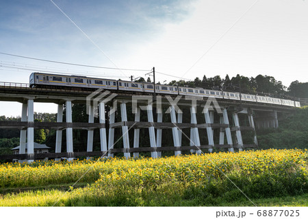 鉄道高架橋とひまわり畑　千葉県大網白里市　日本 68877025