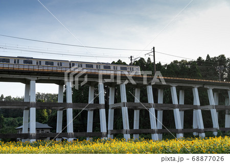 鉄道高架橋とひまわり畑 千葉県大網白里市 日本 鉄道高架橋とひまわり畑 千葉県大網白里市 日本 68877026