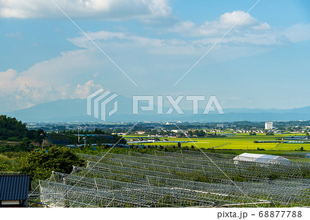 櫛引から見た鶴岡の街並み 出羽三山 山形県鶴岡市 櫛引から見た鶴岡の街並み 出羽三山 山形県鶴岡市 68877788