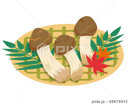 秋の松茸イラストのイラスト素材