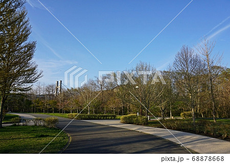 新緑の軽井沢 湯川ふるさと公園 新緑の軽井沢 湯川ふるさと公園 68878668