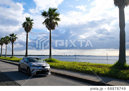千葉県のヤシの木の道 68878749