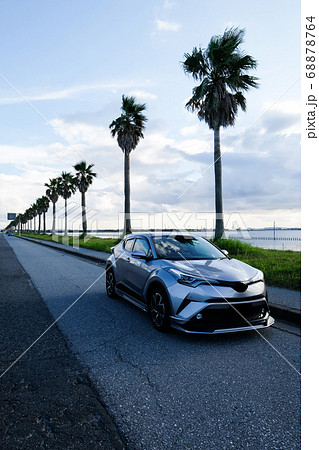 千葉県のヤシの木の道 68878764