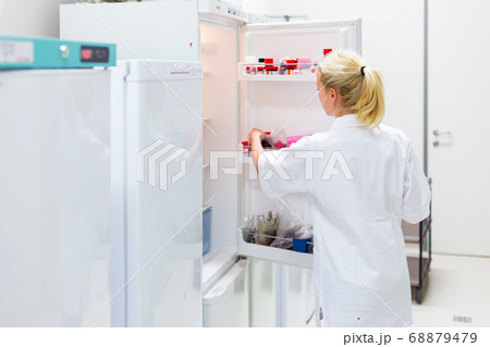 Different types of chemical solutions stored in a refrigeration cabinet in life science laboratory. Female researcher storing chemical solutions in refrigeration cabinet. Different types of chemical solutions stored in a refrigeration cabinet in life science laboratory. Female researcher storing chemical solutions in refrigeration cabinet. 68879479