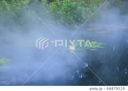 西武池袋屋上庭園「食と緑の空中庭園」睡蓮の庭 西武池袋屋上庭園「食と緑の空中庭園」睡蓮の庭 68879529