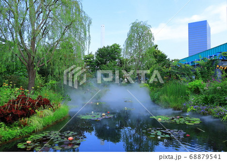 西武池袋屋上庭園「食と緑の空中庭園」睡蓮の庭 68879541