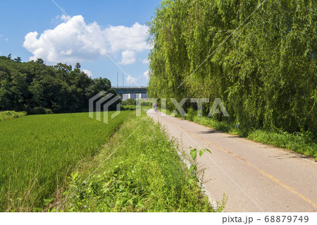 田畑 始興市 京畿道 68879749