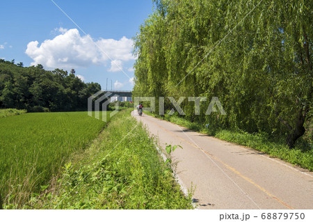 田畑 始興市 京畿道 68879750