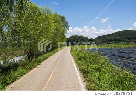 風景 田畑 始興市 68879751