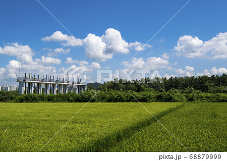 風景 田畑 始興市 68879999