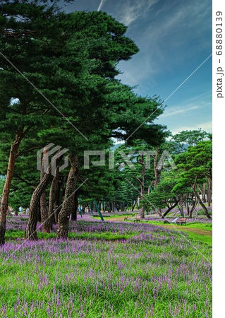 水原 メクムンドン 68880139