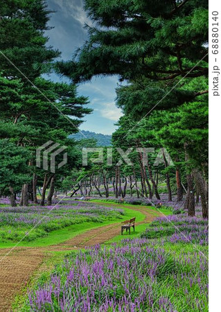 水原 メクムンドン 68880140