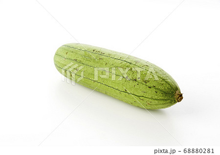 ヘチマ ヘチマ 68880281