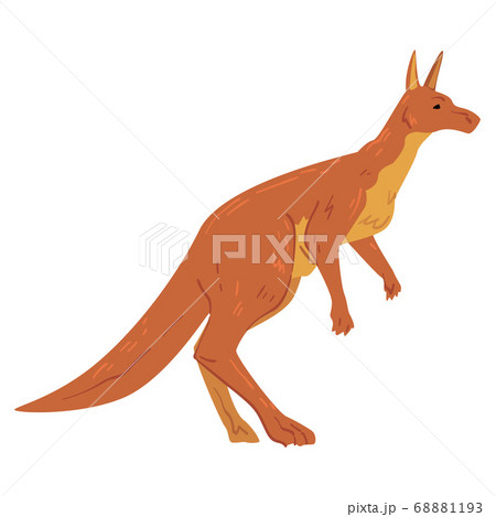 Brown Kangaroo, Wallaby Australian Animal Side View Cartoon Vector Illustration Brown Kangaroo, Wallaby Australian Animal Side View Cartoon Vector Illustration 68881193