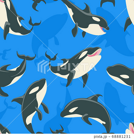 Killer Whales Seamless Pattern Cute Orca Whale のイラスト素材