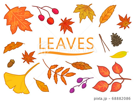 秋の紅葉した葉っぱのイラストのイラスト素材 6086 秋の紅葉した葉っぱのイラストのイラスト素材 6086