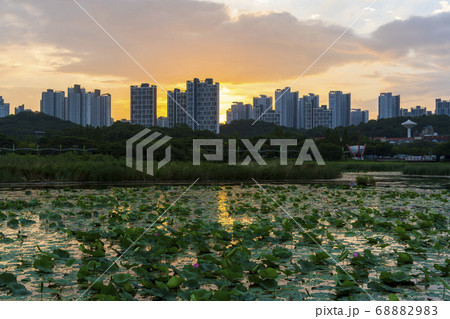 ギャラリー遊園地 湖 夕焼け 68882983