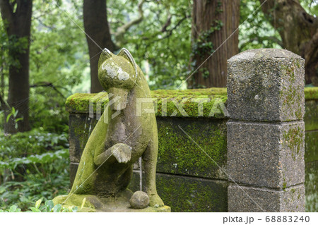 日本寺 岡田稲荷のキツネ 日本寺 岡田稲荷のキツネ 68883240