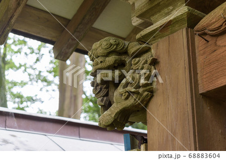 日本寺　妙見七面宮　獅子の丸彫り 68883604