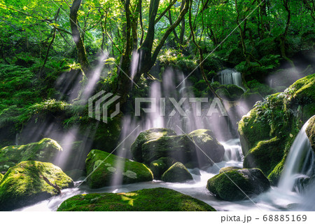 元滝伏流水　光芒 68885169