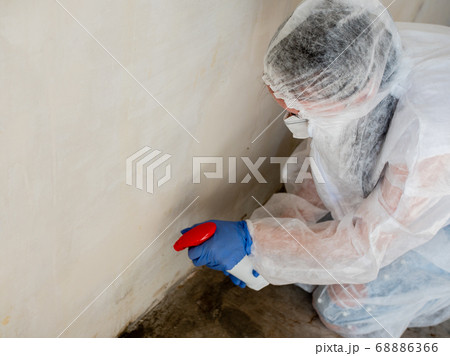 A woman in a protective suit sprays the walls of an apartment with a chemical agent to remove mold. A woman in a protective suit sprays the walls of an apartment with a chemical agent to remove mold. 68886366