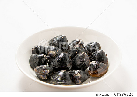 シジミ。 68886520