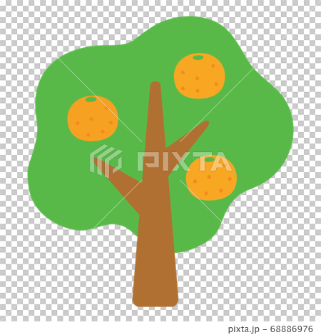 みかんの木のアイコンのイラスト素材 みかんの木のアイコンのイラスト素材