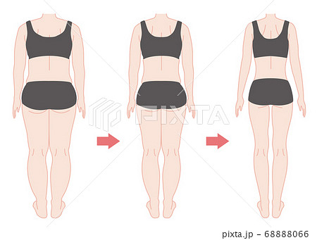 ダイエットの経過 背面 カラーのイラスト素材 6066