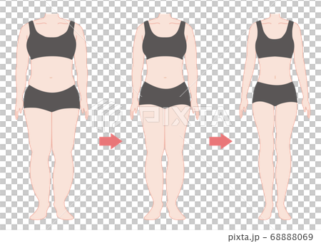 Diet progress whole body color 68888069