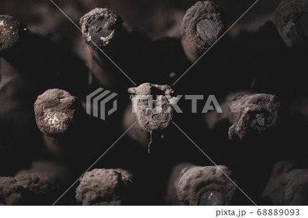 aged wine bottles covered with mold in vintage 68889093
