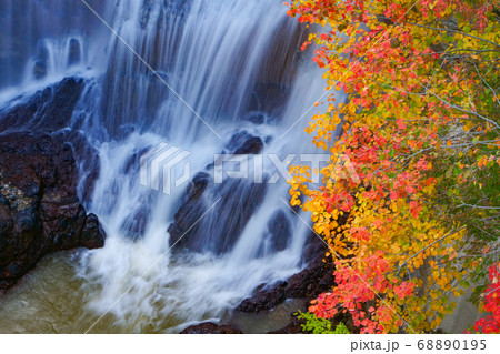 風景写真　縦位置写真　秋　美しい滝の紅葉写真　岩手県　八幡平　青空 68890195