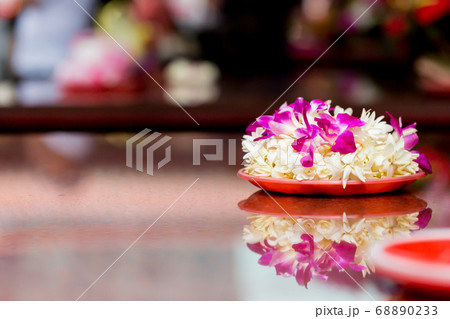 献花 献花 68890233