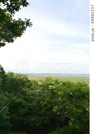 釧路湿原（釧路湿原展望台／北海道釧路市北斗） 68892237