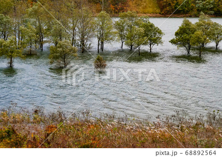 風景写真　横位置写真　秋　川の反乱紅葉写真　秋田県 68892564