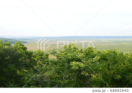 釧路湿原(釧路湿原展望台/北海道釧路市北斗) 釧路湿原(釧路湿原展望台/北海道釧路市北斗) 68892640