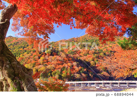 嵐山（京都市右京区）渡月橋周辺の紅葉 68894044